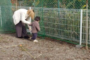 フェンス, 屋外, 草, 建物 が含まれている画像

AI 生成コンテンツは誤りを含む可能性があります。