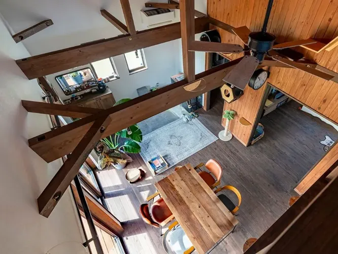 ２階フリースペースから遊ぶ猫たちを眺めてほっこり