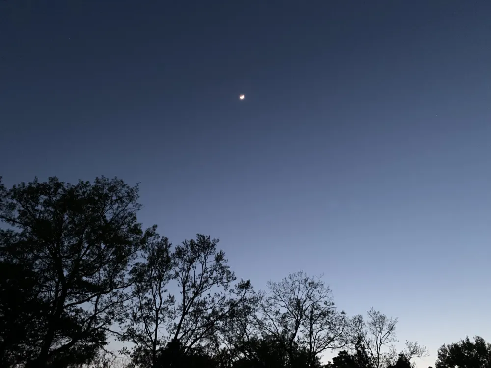 フリーダムデザイン・フェス　～自由祭～