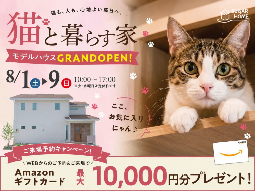 猫と暮らす家・花巻市高木にオープン！！