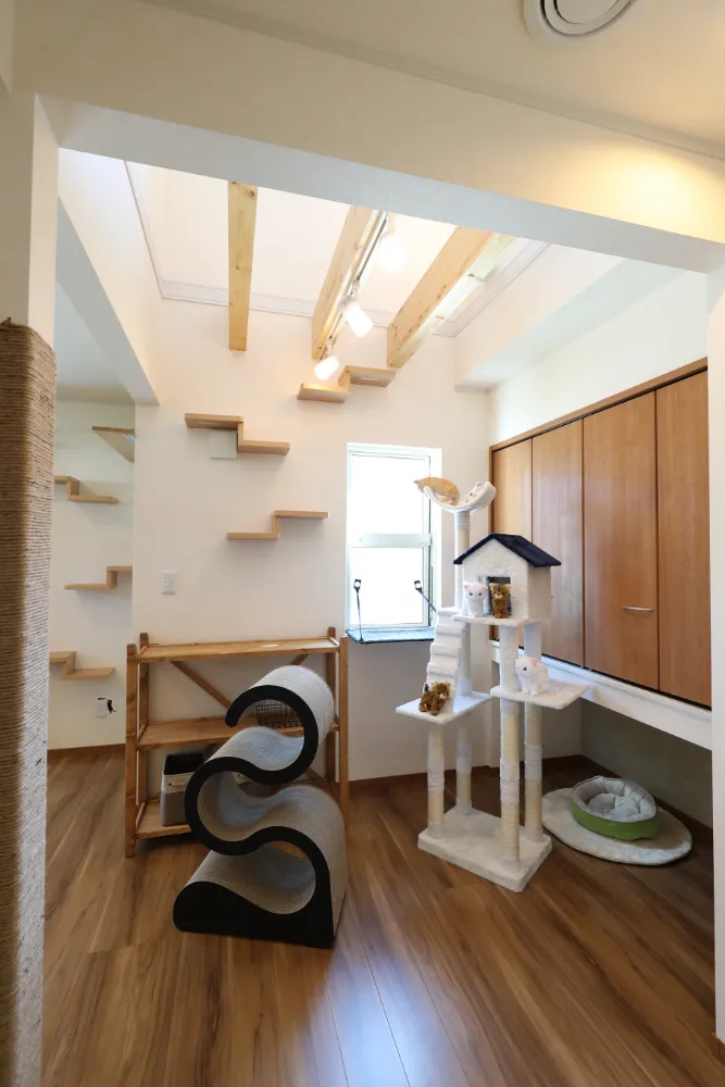 猫と一緒に暮らす家