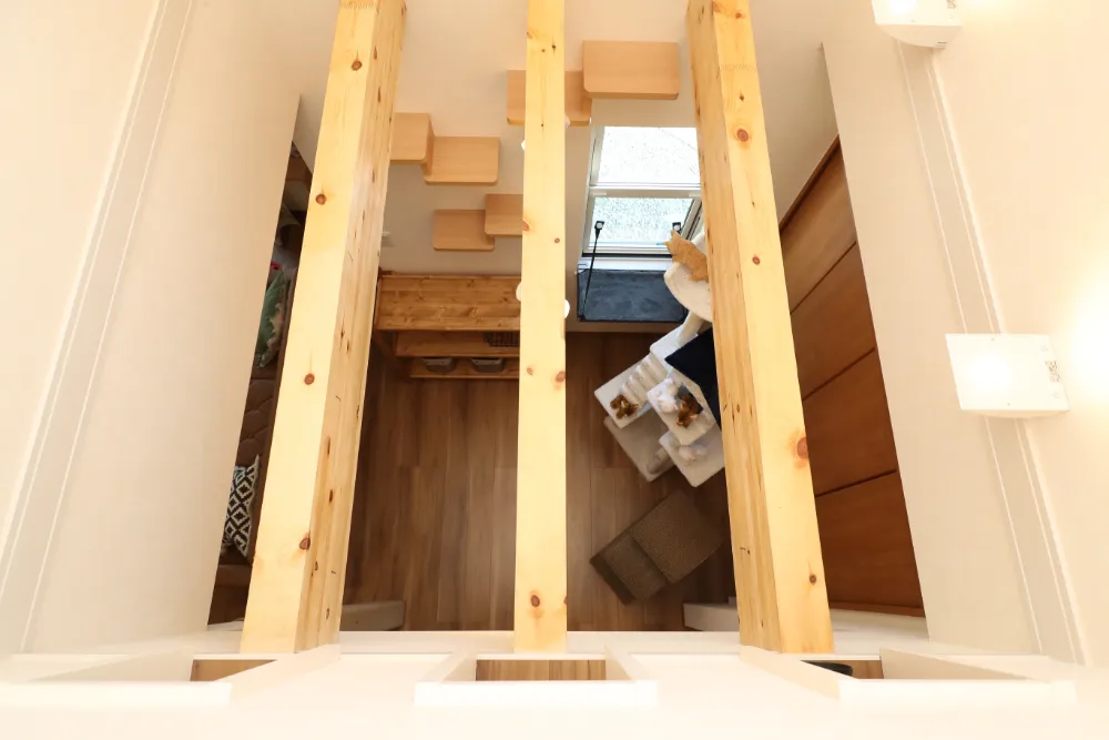 猫と一緒に暮らす家