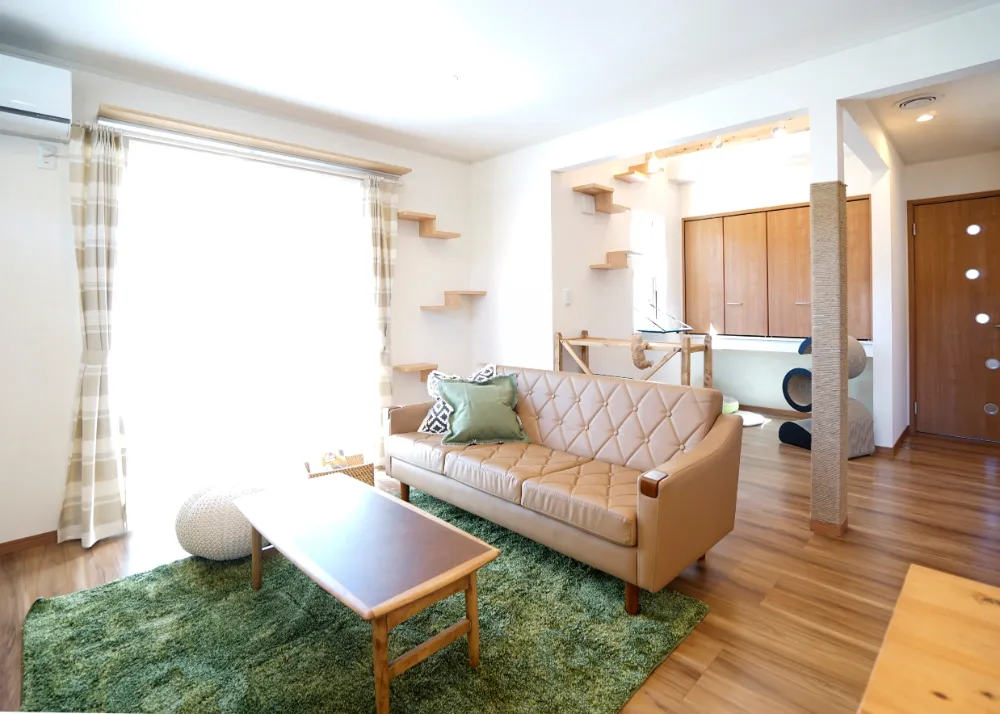 猫と一緒に暮らす家