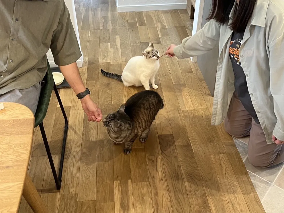 【お施主様の声】愛猫ファーストなインナーガレージのある家