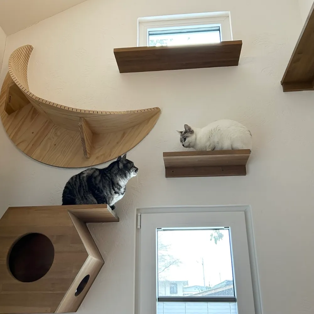 Q3.　住んでみてこうした方が更によかったと思うところ