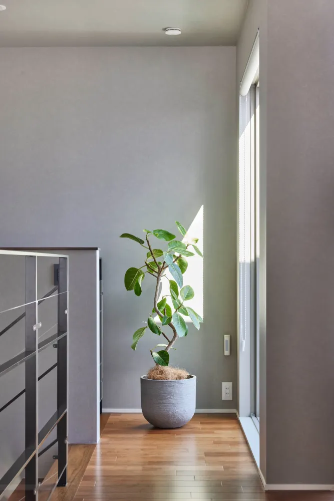 プライバシーを守りながらも、光と開放感にあふれたコートハウス