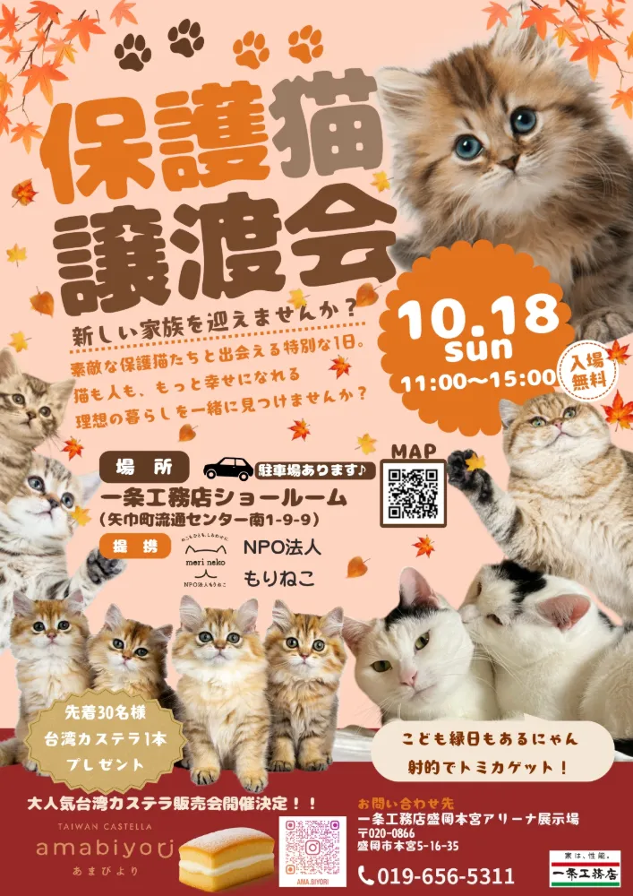 新しい家族を迎えませんか？」保護猫譲渡会開催！ | 株式会社 一条工務店